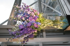 FDA Image Gallery (IMG_0119.JPG)