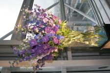 FDA Image Gallery (IMG_0120.JPG)