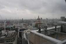 FDA Image Gallery (IMG_0126.JPG)