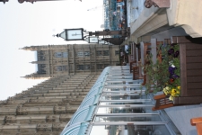 FDA Image Gallery (IMG_0007.JPG)