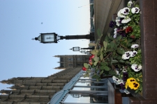 FDA Image Gallery (IMG_0015.JPG)