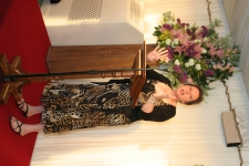 FDA Image Gallery (IMG_0066.JPG)