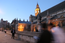 FDA Image Gallery (IMG_0099.JPG)