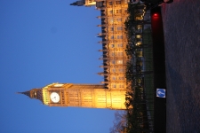 FDA Image Gallery (IMG_0104.JPG)