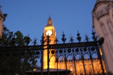 FDA Image Gallery (IMG_0105.JPG)