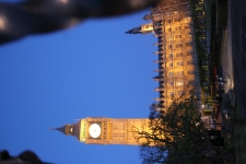 FDA Image Gallery (IMG_0107.JPG)