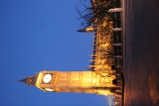 FDA Image Gallery (IMG_0108.JPG)