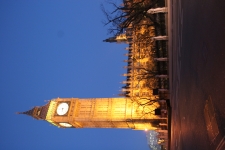 FDA Image Gallery (IMG_0109.JPG)